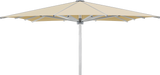 Glatz Parasol PALAZZO Royal carre Cat.5 526 Bamboo