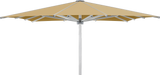 Glatz Parasol PALAZZO Royal carre Cat.5 618 Dijon