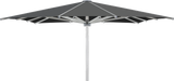 Glatz Parasol PALAZZO Royal carre Cat.5 669 Carbone