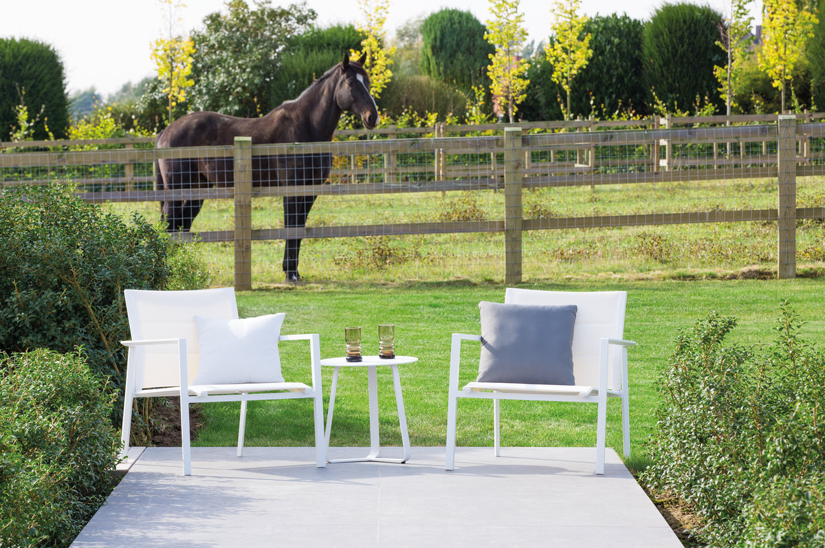 Diphano Selecta Fauteuil Club lounge