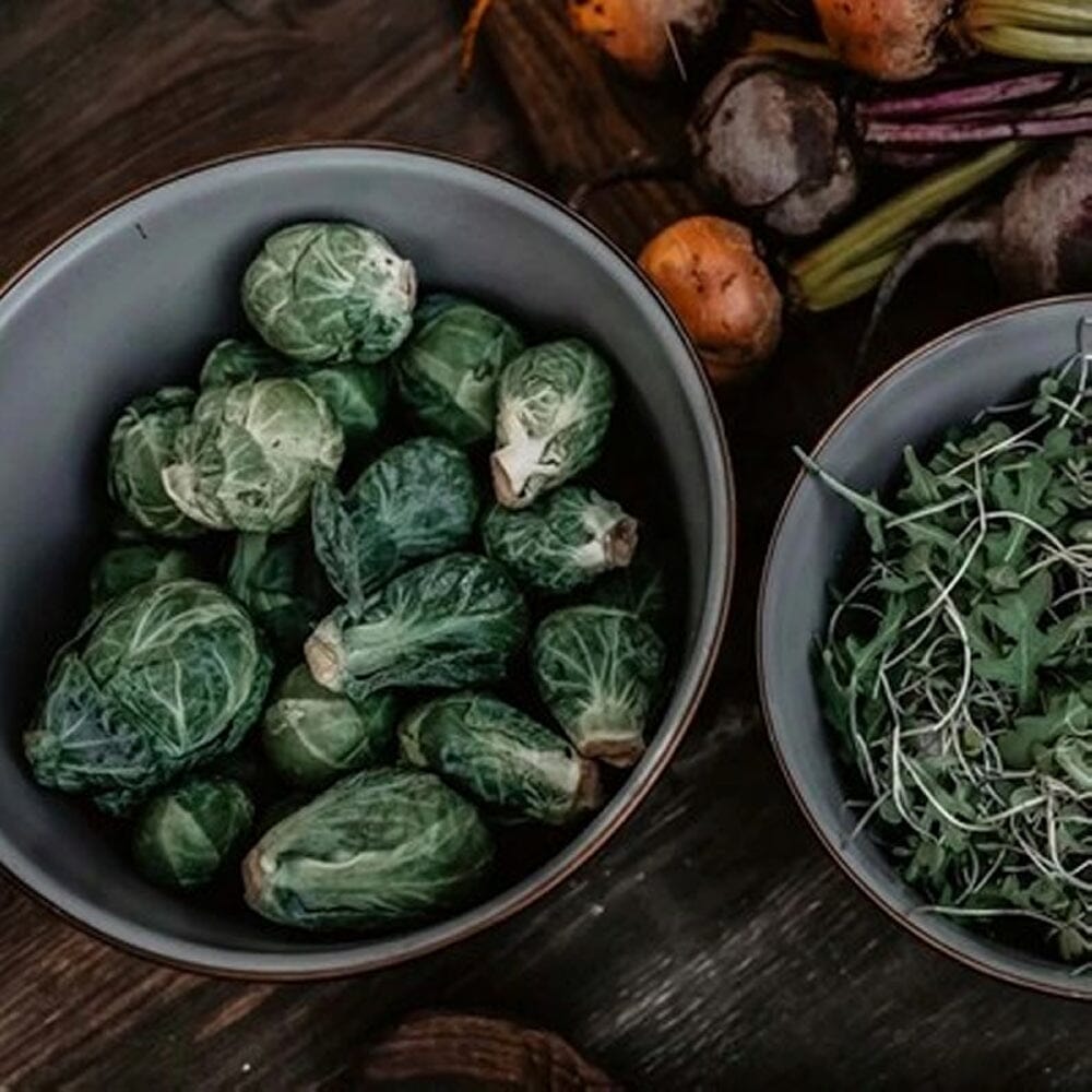 Barebones Enamel Mixing Bowl Set Ensemble de 2 bols 