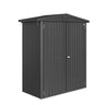 Biohort Europa Abri de jardin Taille 1 (172x84cm, H:196cm) Gris foncé métallique 