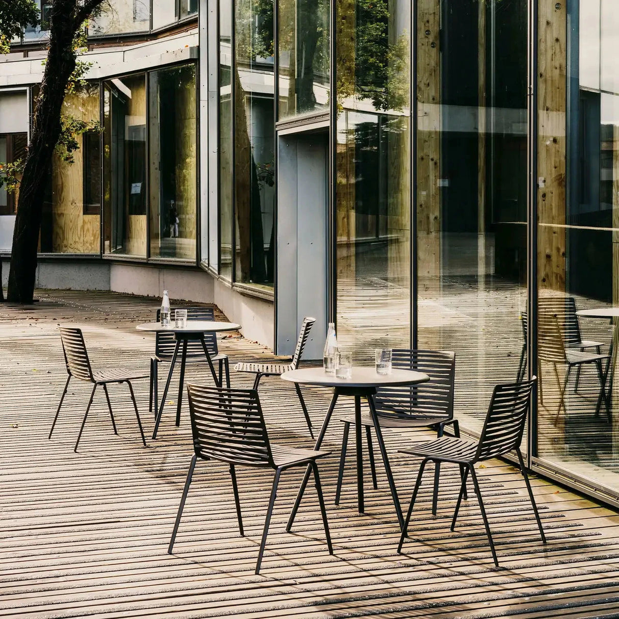 Fast Zebra Chaise repas 