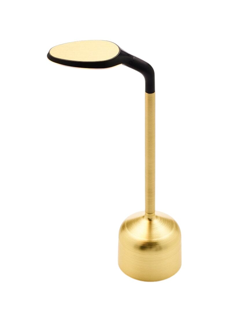 Imagilights Petit Cru Lampe sans fil, télécommande et chargeur en sus 