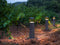 Les Jardins Teckalu Borne solaire h:90cm 500 Lumens 