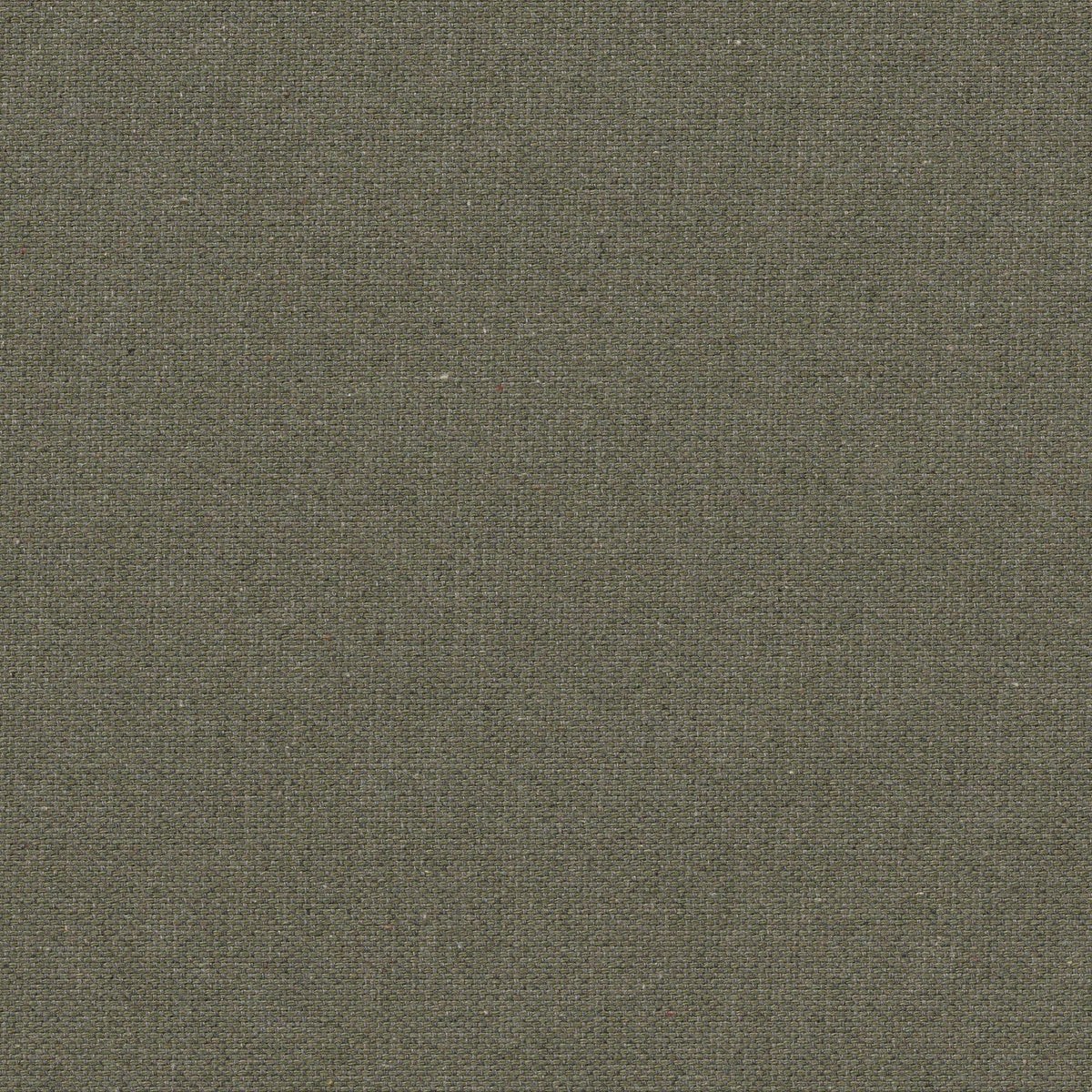 Manutti Turo Coussin déco 47x37cm (Cat.A) Pebble Fern C209 