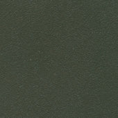 Peter Pan 27