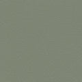 Grey Green 37