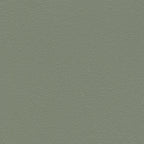 Grey Green 37
