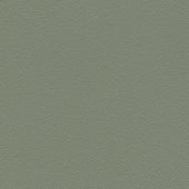 Grey Green 37