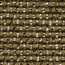 Exclusive Green 600/42 (Cat.D)