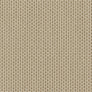 Qualité 5 · 526 Bamboo