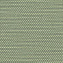 Qualité 5 · 579 Pistachio