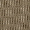 Grade B (WR) Blend Latte 0203