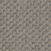 Grade D (ST) Dot Nimbus 0116