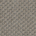 Grade D (ST) Dot Nimbus 0116