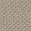 Grade D (ST) Dot Oyster 0117