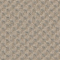Grade D (ST) Dot Oyster 0117