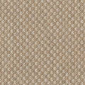 Grade D (ST) Ravel Dune 0118