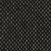 Grade D (ST) Ravel Sable 0120
