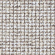 (Cat.C) Mink ragdoll C174