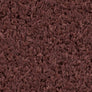(Cat.C) FR Burgundy truffle C195