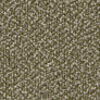(Cat.C) Olive Haze C213