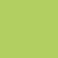 Vert clair 63