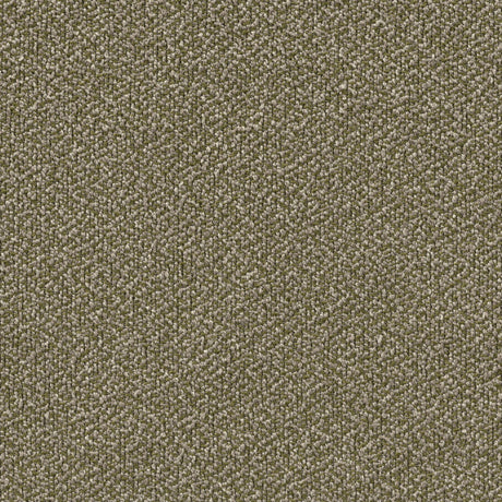 Manutti Olive Haze C213