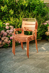 Schaffner Glarus Fauteuil repas 