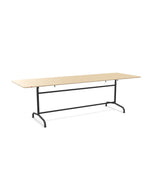 Schaffner Rigi Table repas rabattable 240x80cm 