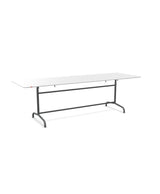 Schaffner Rigi Table repas rabattable 240x80cm 