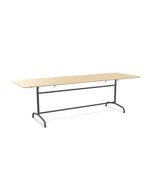 Schaffner Rigi Table repas rabattable 240x80cm 