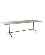 Schaffner Rigi Table repas rabattable 240x90cm 