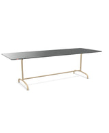 Schaffner Rigi Table repas rabattable 240x90cm 