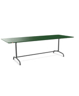 Schaffner Rigi Table repas rabattable 240x90cm 