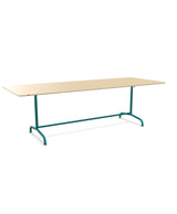 Schaffner Rigi Table repas rabattable 240x90cm 