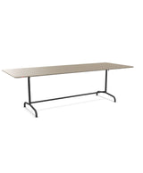 Schaffner Rigi Table repas rabattable 240x90cm 