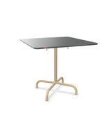 Schaffner Rigi Table repas rabattable 80x80cm 
