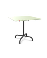 Schaffner Rigi Table repas rabattable 80x80cm Vert Pastel 64 Anthracite 77 