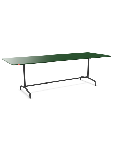 Schaffner Rigi Table repas rabattable 240x90cm