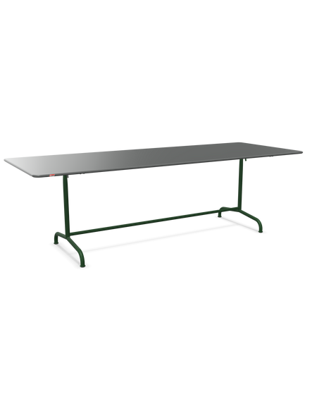 Schaffner Rigi Table repas rabattable 240x90cm