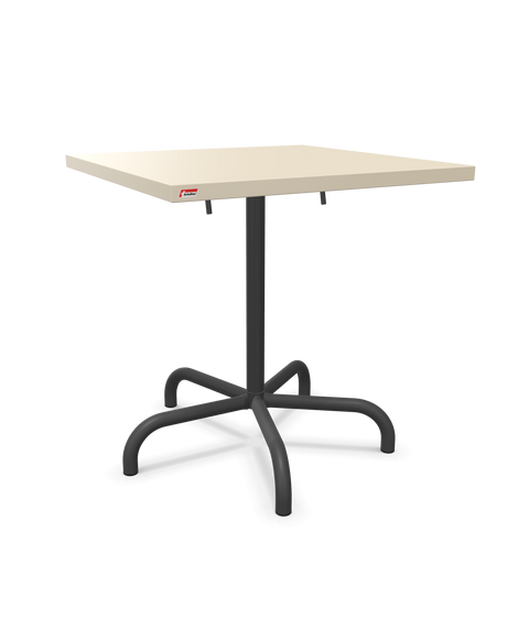 Schaffner Säntis Klappbarer Esstisch 70x70cm