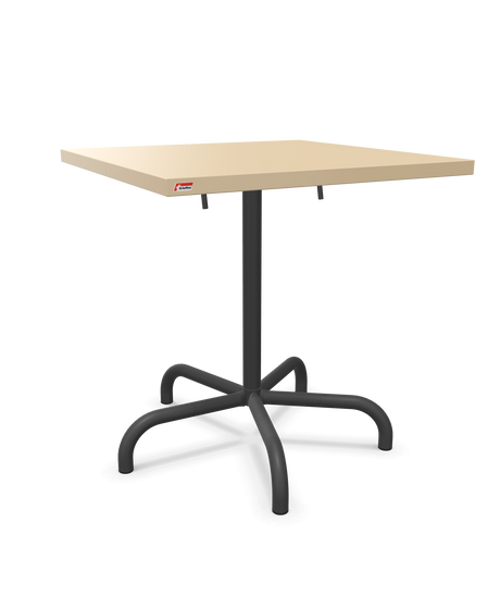 Schaffner Säntis Klappbarer Esstisch 70x70cm