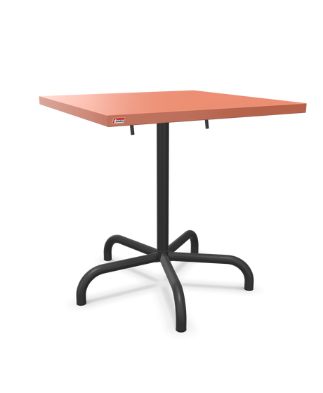 Schaffner Säntis Klappbarer Esstisch 70x70cm