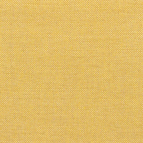 Amber (Cat.B)