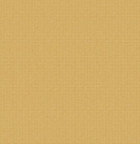 Dedon Coussin déco rond Ø55cm (Cat. A) Natura Pomelo 479 