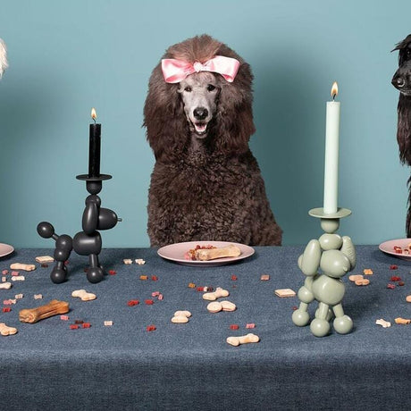 Fatboy Candolls Can-Dolly Chandelier Indoor 