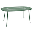Fermob Lorette Table ovale 160 x 90cm Cactus 82 