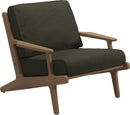 Gloster Bay Fauteuil club - Lounge Chair (Granite Sling) Grade B (OP) Fife Olive 0041 